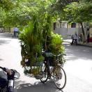 How to Plan a Green Vacation Photo